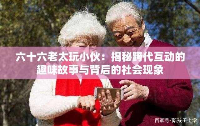 六十六老太玩小伙：揭秘跨代互动的趣味故事与背后的社会现象