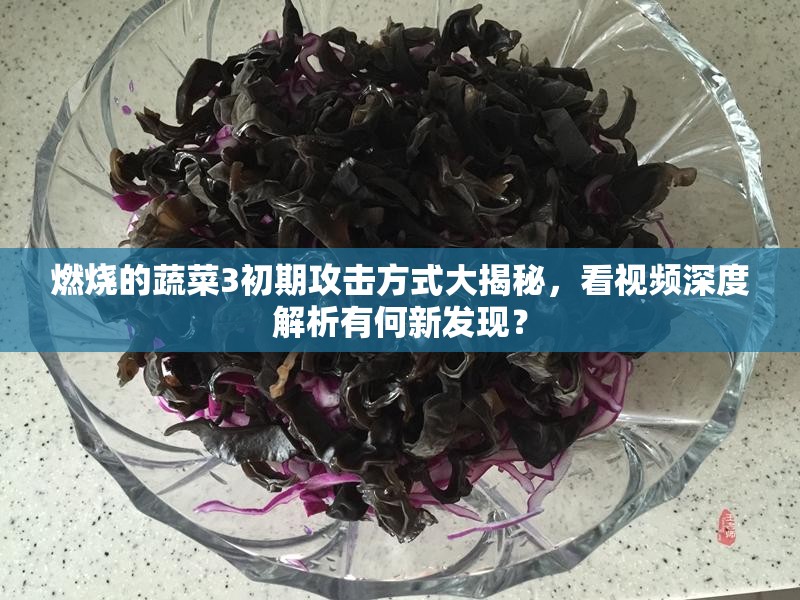 燃烧的蔬菜3初期攻击方式大揭秘，看视频深度解析有何新发现？