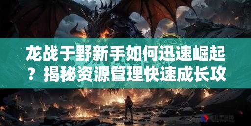 龙战于野新手如何迅速崛起？揭秘资源管理快速成长攻略！