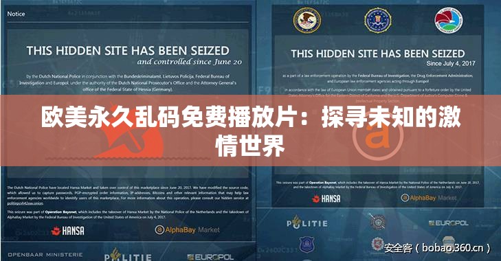 欧美永久乱码免费播放片：探寻未知的激情世界