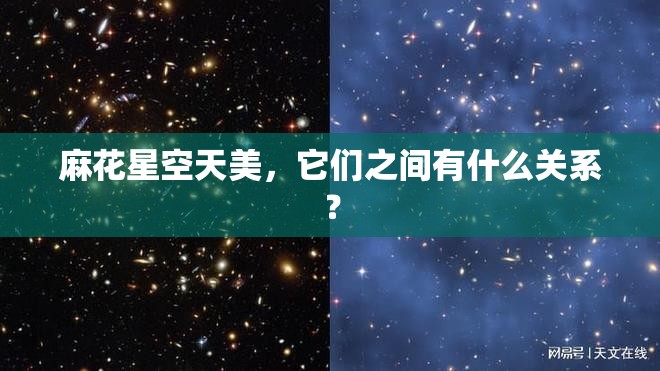 麻花星空天美，它们之间有什么关系？