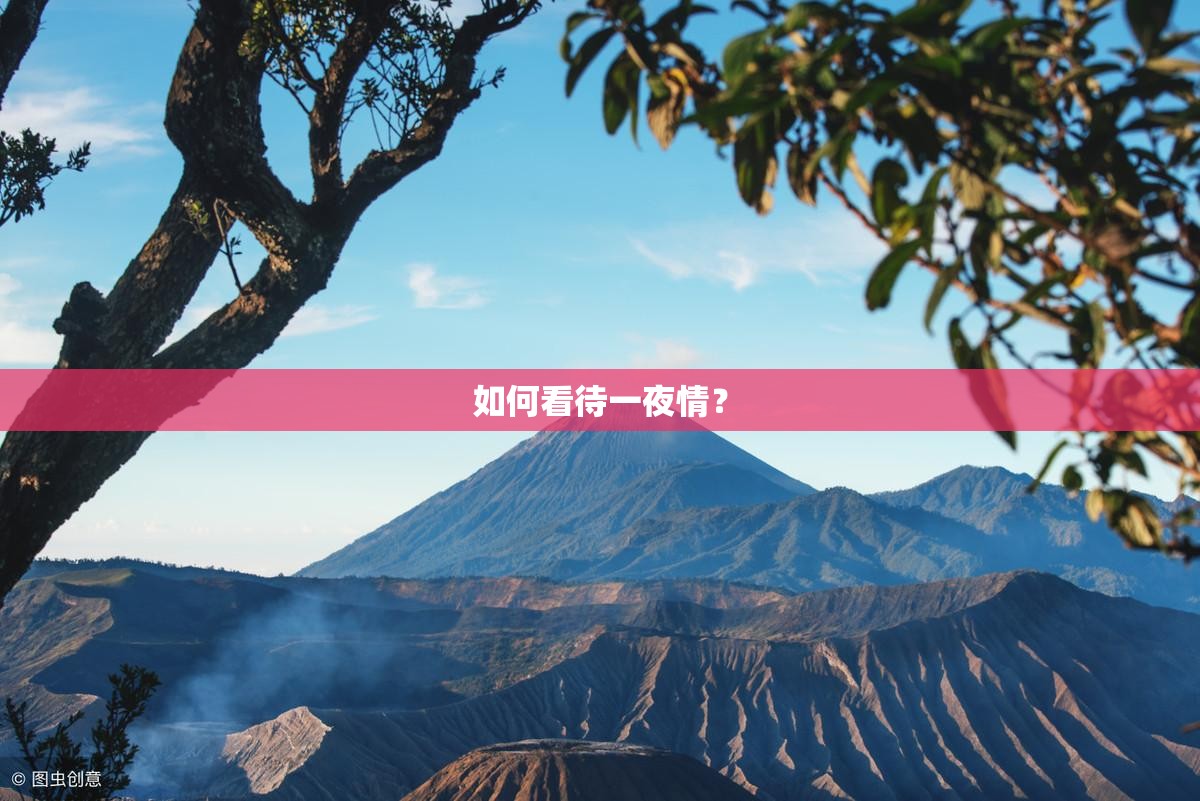 如何看待一夜情？