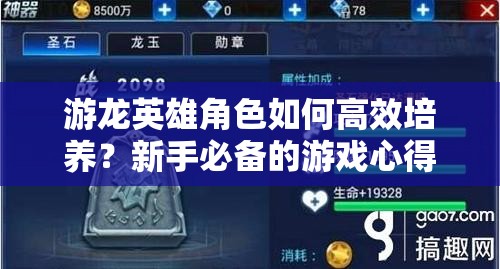 游龙英雄角色如何高效培养？新手必备的游戏心得揭秘！
