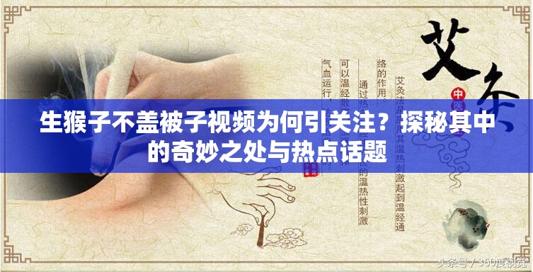 生猴子不盖被子视频为何引关注？探秘其中的奇妙之处与热点话题