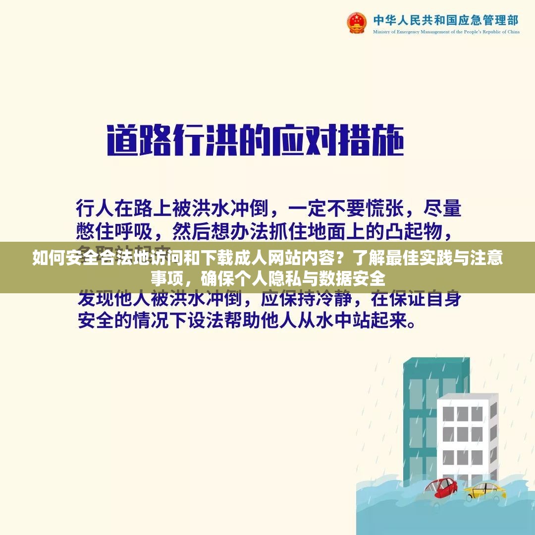 如何安全合法地访问和下载成人网站内容？了解最佳实践与注意事项，确保个人隐私与数据安全