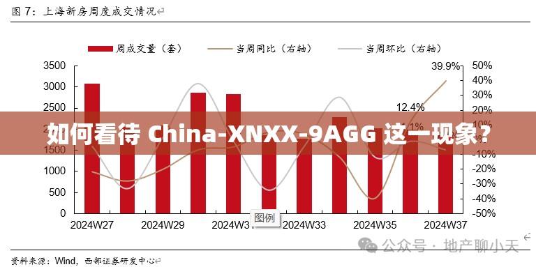 如何看待 China-XNXX-9AGG 这一现象？