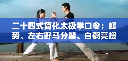 二十四式简化太极拳口令：起势、左右野马分鬃、白鹤亮翅、左右搂膝拗步、手挥琵琶、左右倒卷肱、左揽雀尾、右揽雀尾、单鞭、云手、单鞭、高探马、右蹬脚、双峰贯耳、转身左蹬脚、左下势独立、右下势独立、左右穿梭、海底针、闪通臂、转身搬拦捶、如封似闭、十字手、收势