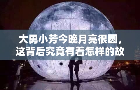 大勇小芳今晚月亮很圆，这背后究竟有着怎样的故事？引发全网好奇