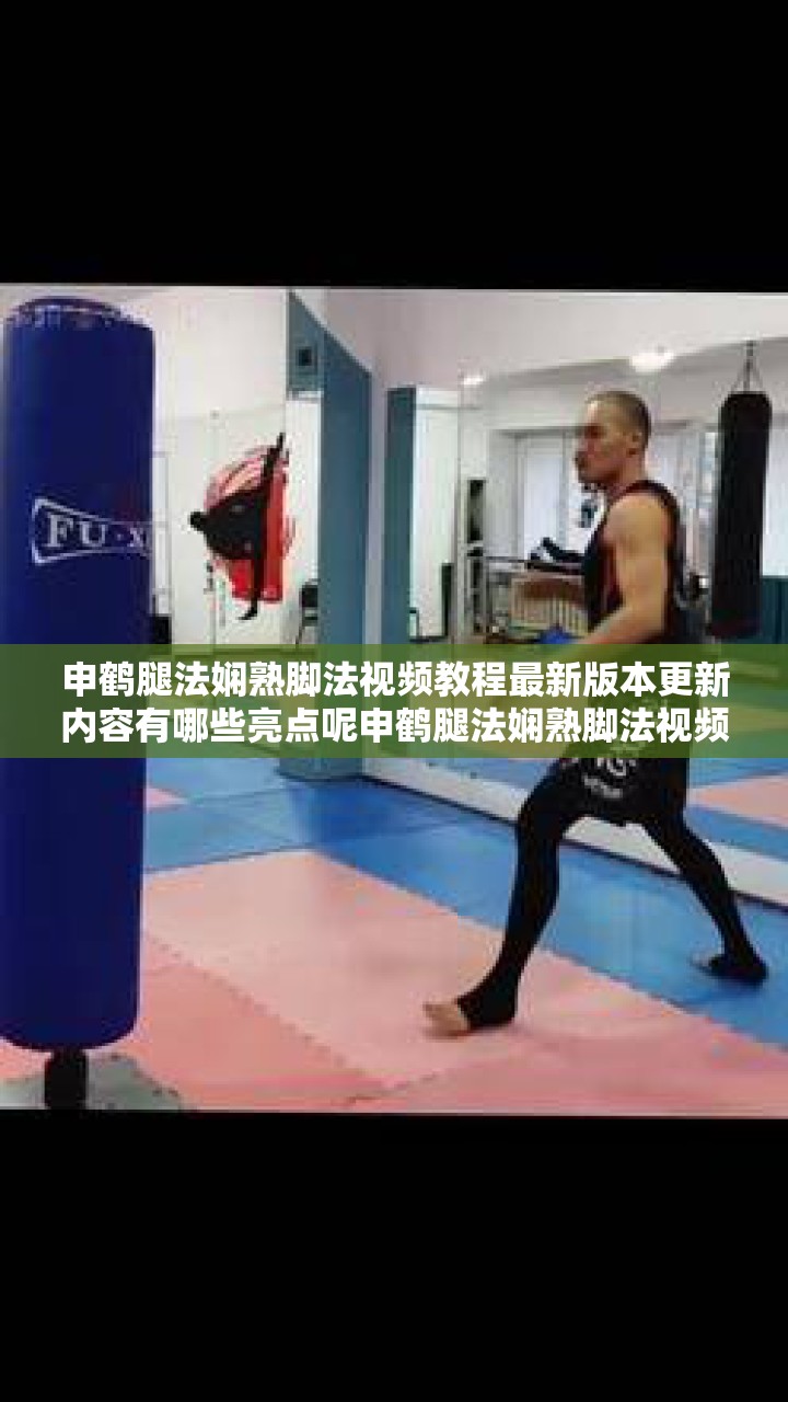 申鹤腿法娴熟脚法视频教程最新版本更新内容有哪些亮点呢申鹤腿法娴熟脚法视频教程新版更新，其核心奥秘是什么申鹤腿法娴熟脚法视频教程最新版究竟增添了怎样的精彩内容