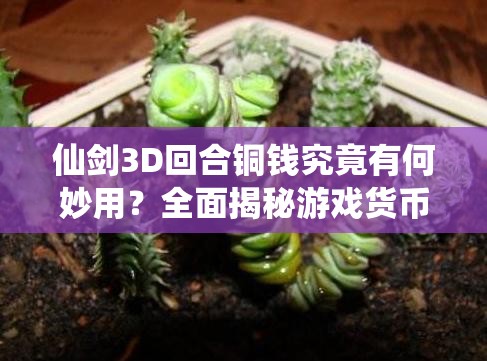 仙剑3D回合铜钱究竟有何妙用？全面揭秘游戏货币详细用途