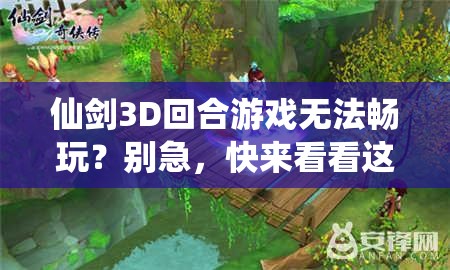 仙剑3D回合游戏无法畅玩？别急，快来看看这些解决妙招！