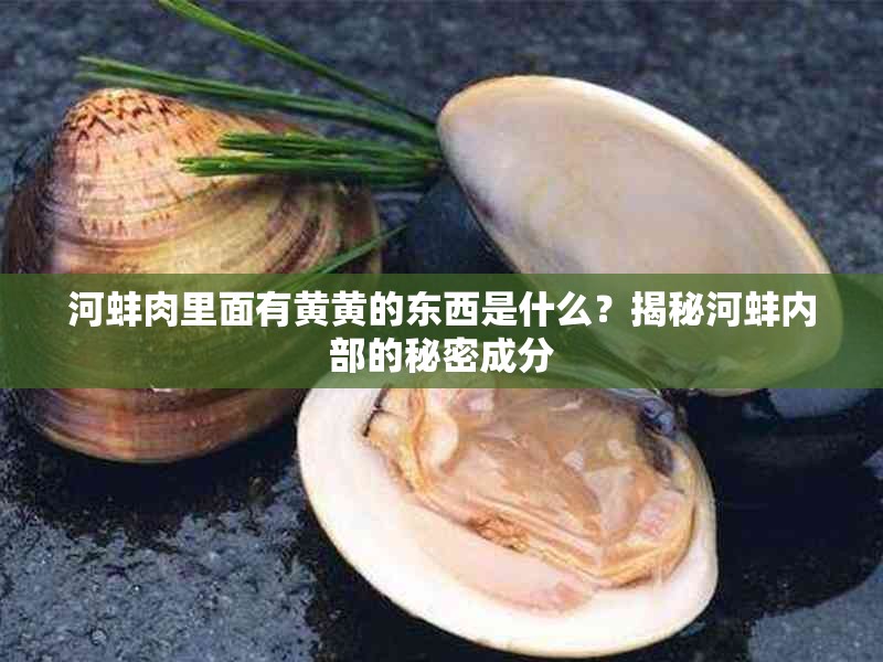 河蚌肉里面有黄黄的东西是什么？揭秘河蚌内部的秘密成分