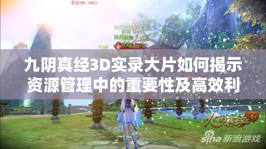 九阴真经3D实录大片如何揭示资源管理中的重要性及高效利用策略？