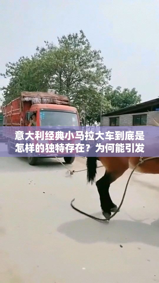意大利经典小马拉大车到底是怎样的独特存在？为何能引发广泛关注？