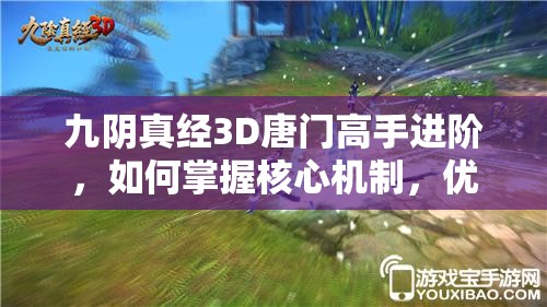 九阴真经3D唐门高手进阶，如何掌握核心机制，优化实战与界面设置？