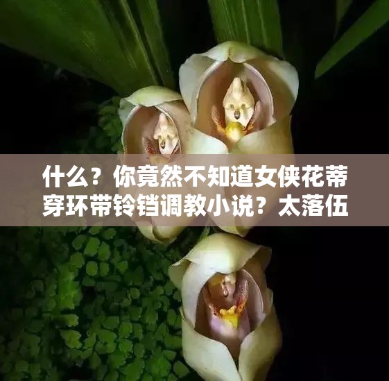 什么？你竟然不知道女侠花蒂穿环带铃铛调教小说？太落伍了吧