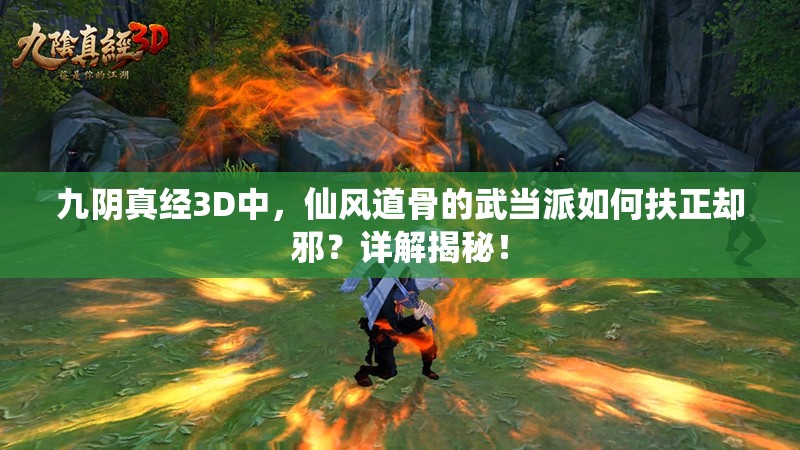 九阴真经3D中，仙风道骨的武当派如何扶正却邪？详解揭秘！