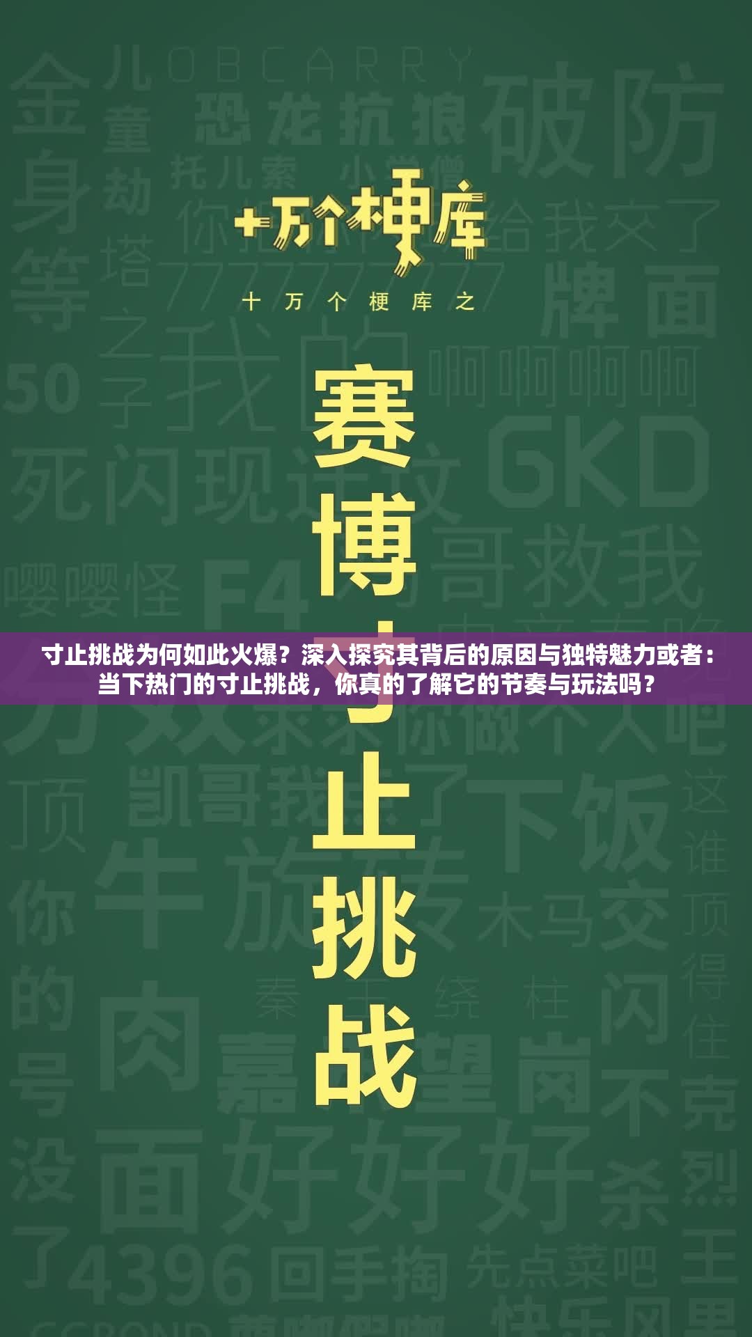 寸止挑战为何如此火爆？深入探究其背后的原因与独特魅力或者：当下热门的寸止挑战，你真的了解它的节奏与玩法吗？