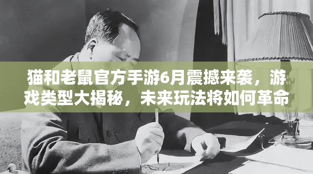 猫和老鼠官方手游6月震撼来袭，游戏类型大揭秘，未来玩法将如何革命？