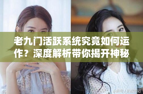 老九门活跃系统究竟如何运作？深度解析带你揭开神秘面纱
