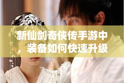 新仙剑奇侠传手游中，装备如何快速升级？全攻略揭秘！