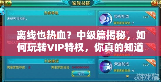 离线也热血？中级篇揭秘，如何玩转VIP特权，你真的知道吗？