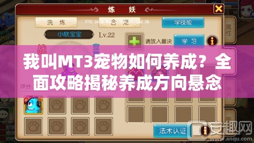 我叫MT3宠物如何养成？全面攻略揭秘养成方向悬念！
