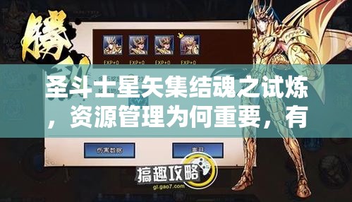 圣斗士星矢集结魂之试炼，资源管理为何重要，有何优化策略？