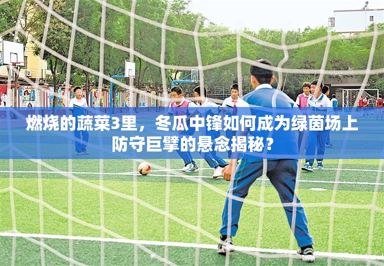 燃烧的蔬菜3里，冬瓜中锋如何成为绿茵场上防守巨擘的悬念揭秘？