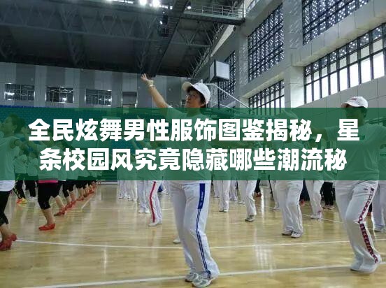 全民炫舞男性服饰图鉴揭秘，星条校园风究竟隐藏哪些潮流秘密？