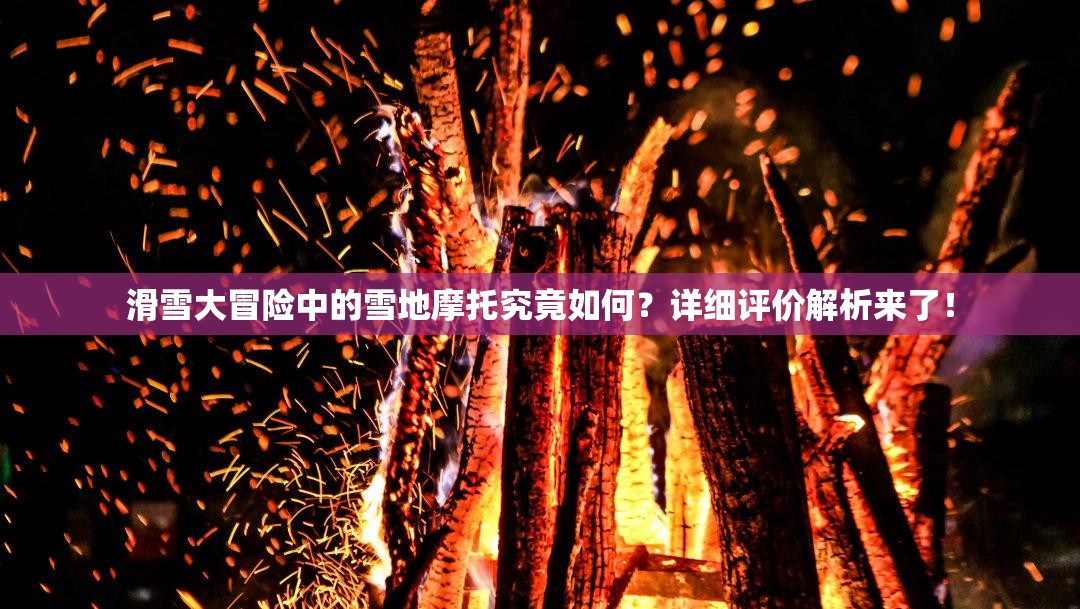 滑雪大冒险中的雪地摩托究竟如何？详细评价解析来了！