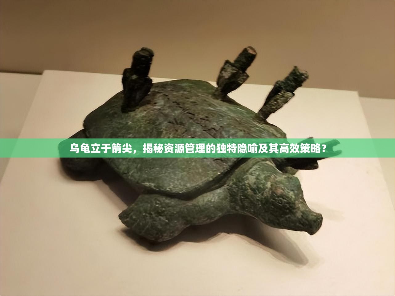 乌龟立于箭尖，揭秘资源管理的独特隐喻及其高效策略？