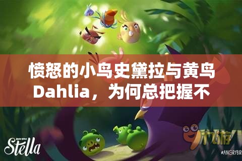 愤怒的小鸟史黛拉与黄鸟Dahlia，为何总把握不好位置？策略技巧揭秘助你通关！