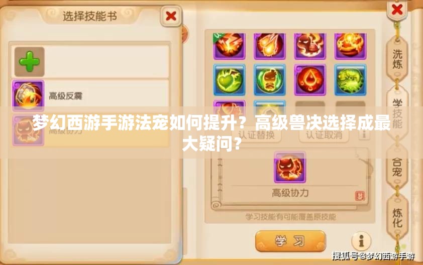 梦幻西游手游法宠如何提升？高级兽决选择成最大疑问？