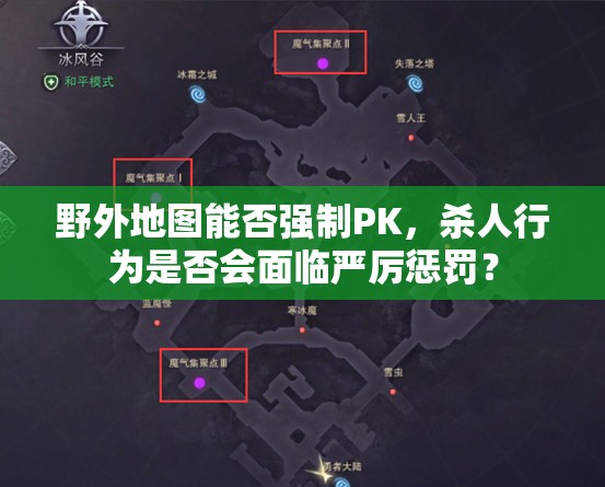 野外地图能否强制PK，杀人行为是否会面临严厉惩罚？