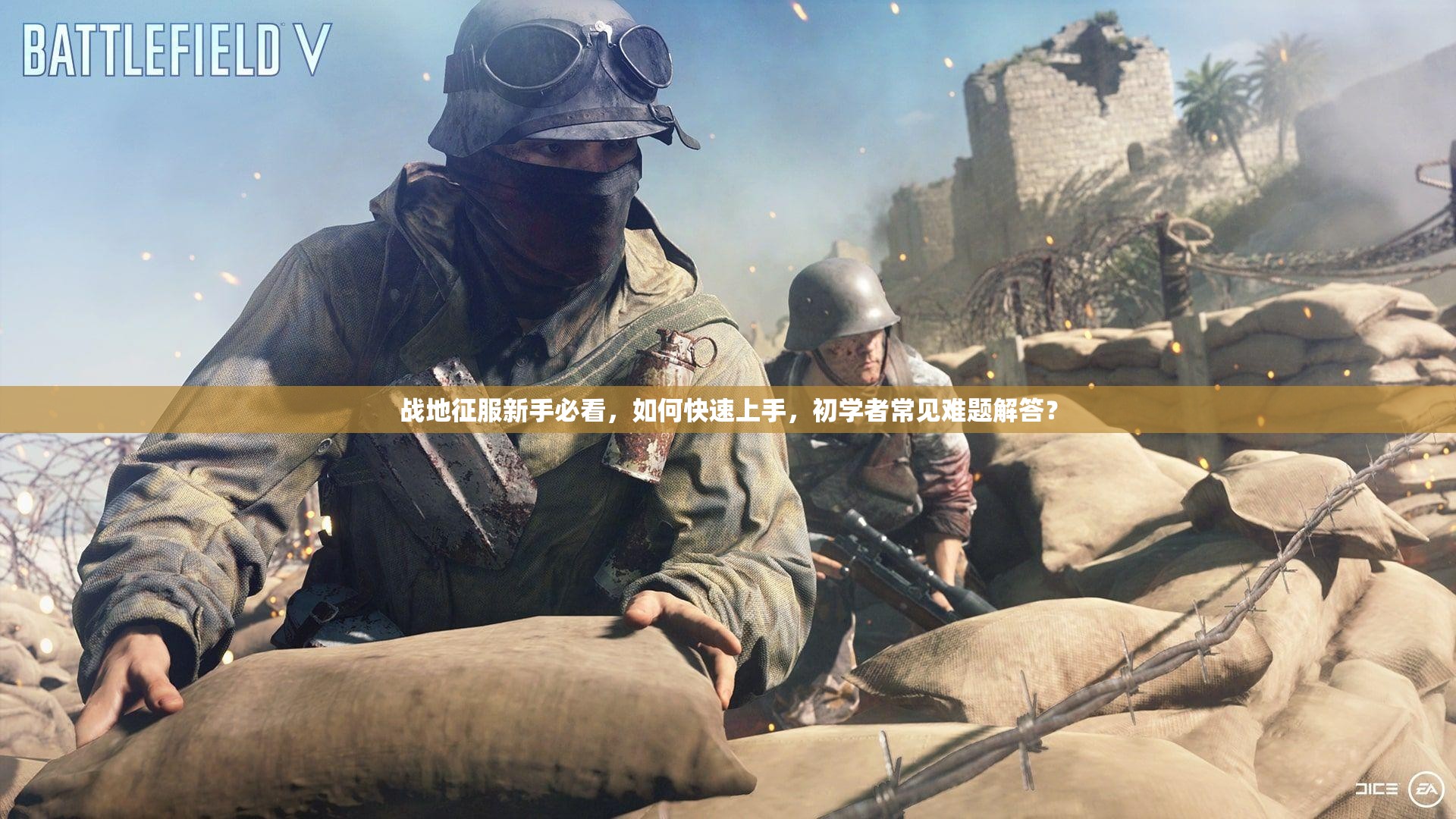 战地征服新手必看，如何快速上手，初学者常见难题解答？