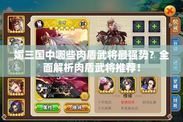 媚三国中哪些肉盾武将最强势？全面解析肉盾武将推荐！