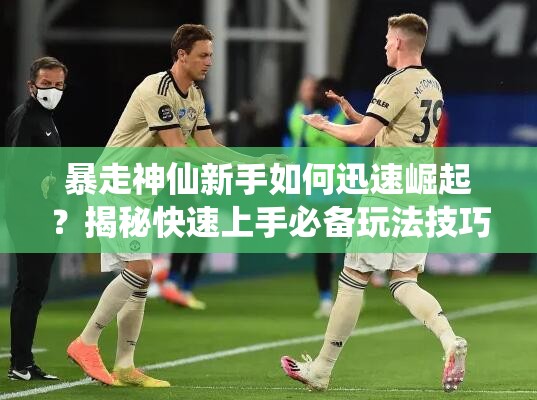 暴走神仙新手如何迅速崛起？揭秘快速上手必备玩法技巧！