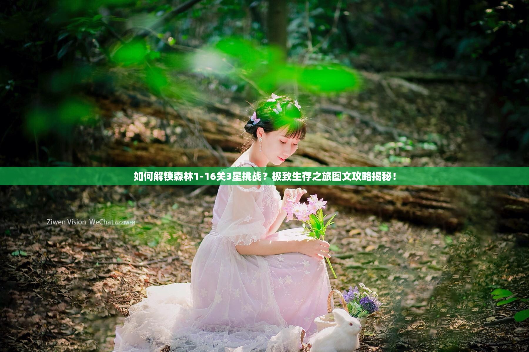 如何解锁森林1-16关3星挑战？极致生存之旅图文攻略揭秘！