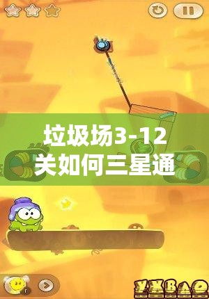 垃圾场3-12关如何三星通关？图文攻略的演变史揭秘！