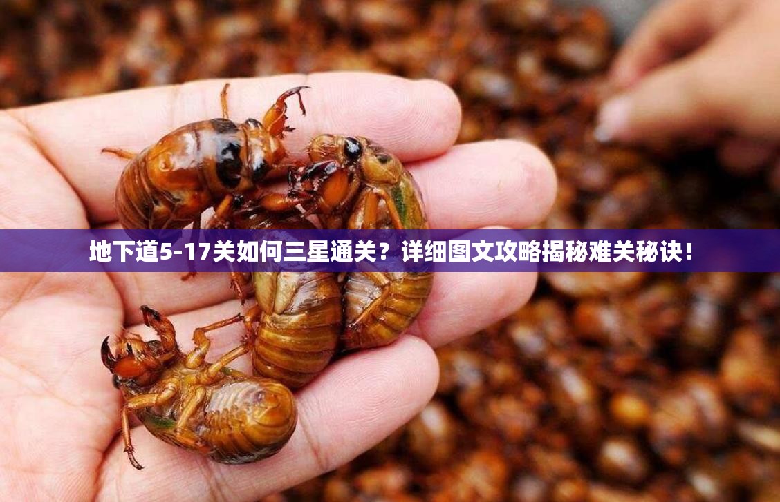 地下道5-17关如何三星通关？详细图文攻略揭秘难关秘诀！
