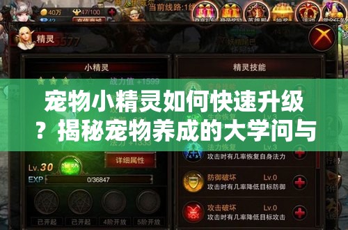 宠物小精灵如何快速升级？揭秘宠物养成的大学问与秘诀？