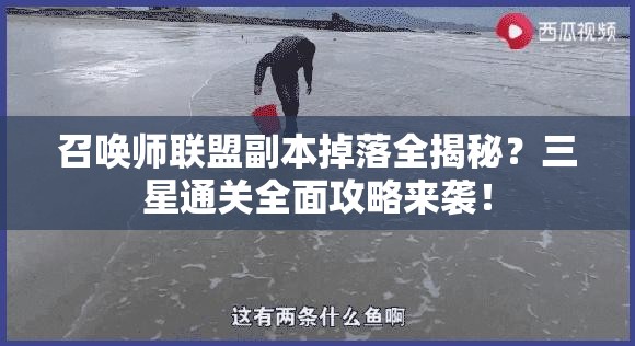 召唤师联盟副本掉落全揭秘？三星通关全面攻略来袭！