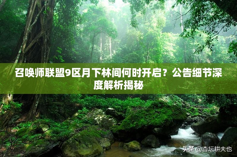 召唤师联盟9区月下林间何时开启？公告细节深度解析揭秘