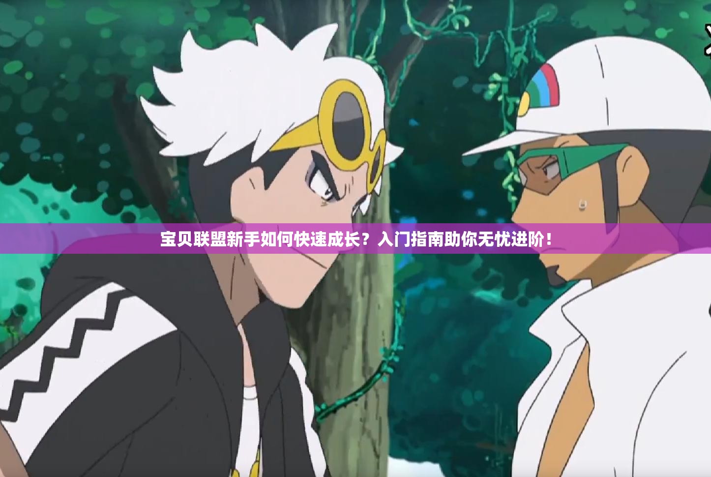 宝贝联盟新手如何快速成长？入门指南助你无忧进阶！