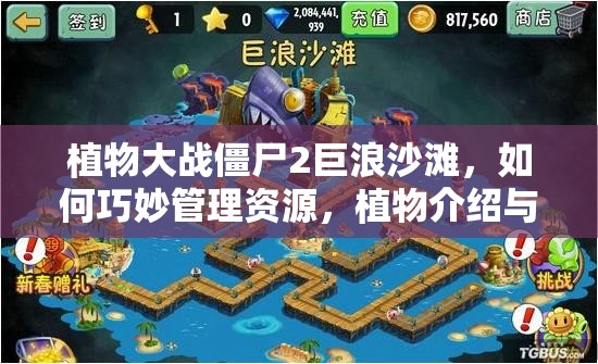 植物大战僵尸2巨浪沙滩，如何巧妙管理资源，植物介绍与攻略揭秘？