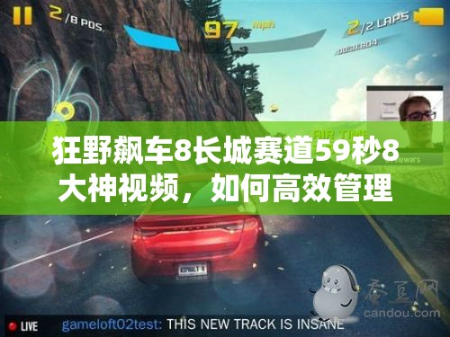 狂野飙车8长城赛道59秒8大神视频，如何高效管理资源并借鉴其策略？
