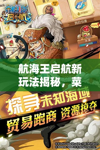 航海王启航新玩法揭秘，菜刀队物理光环速攻流如何称霸，你知道吗？