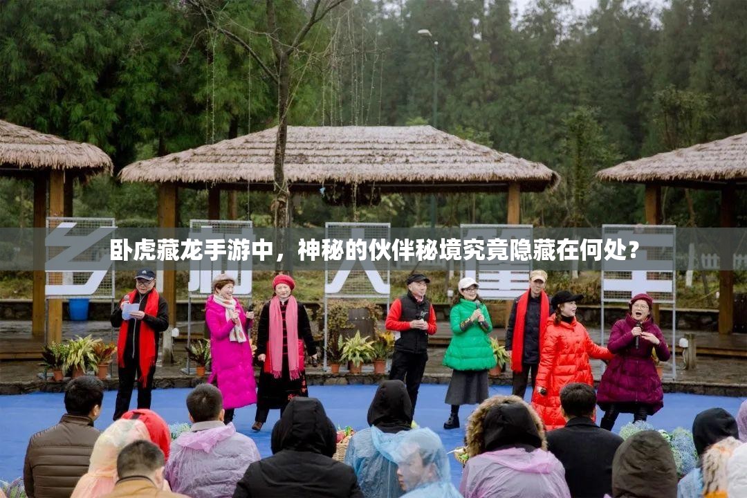 卧虎藏龙手游中，神秘的伙伴秘境究竟隐藏在何处？