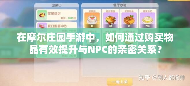 在摩尔庄园手游中，如何通过购买物品有效提升与NPC的亲密关系？